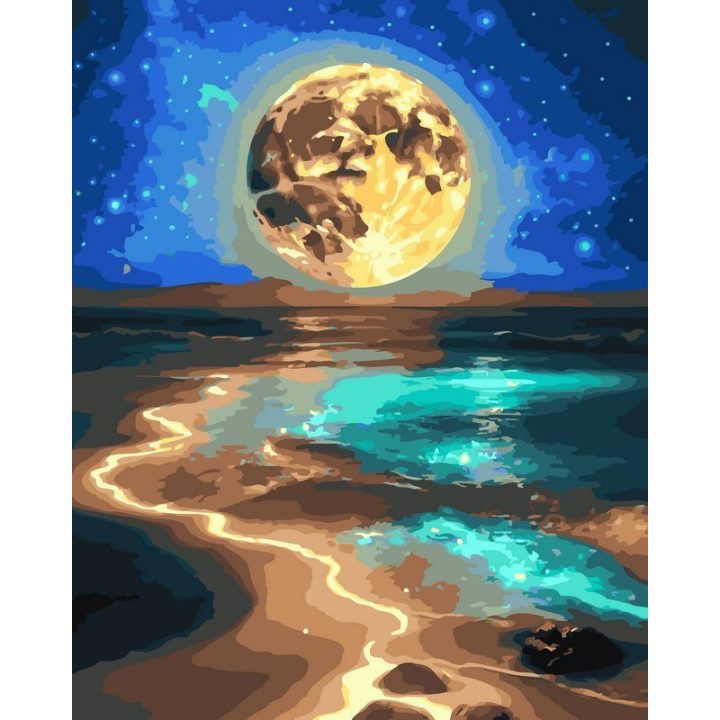 Tapyba pagal skaičius Mėnulio apšviestas vandenyno krantas 40 × 50 cm