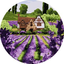 Tapyba pagal skaičius Levandų namelis 40 × 40 cm