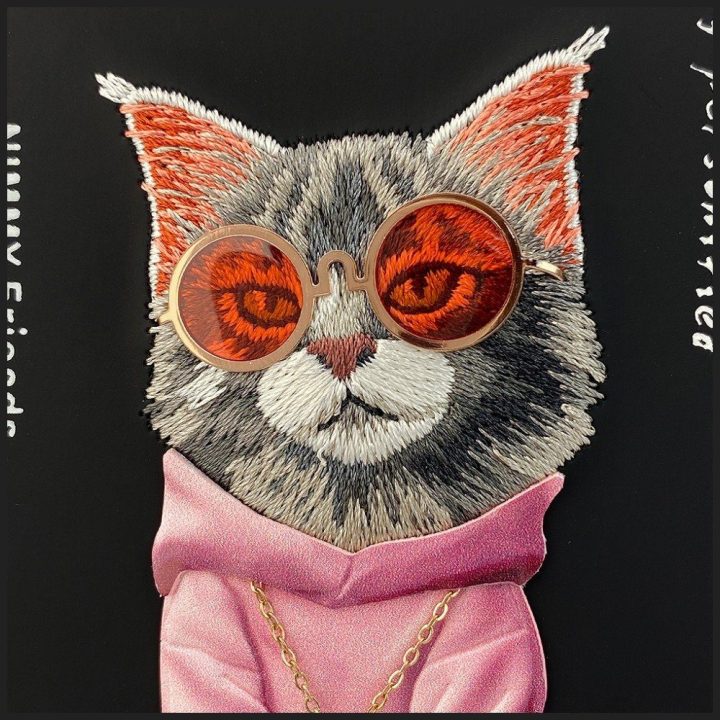 iPhone 17 dėklas Nimmy Glasses Cool Cat juodas