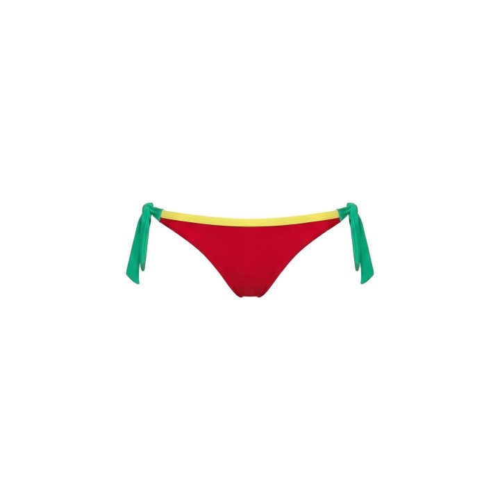 Moteriškos bikinio kelnaitės Aitana