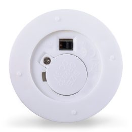 Šviečiantis dekoratyvinis medelis LEDDECO