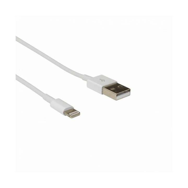 USB-A į Lightning laidas, 1 m, baltas