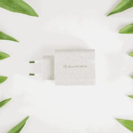 Tellur Green 38W dviejų prievadų sieninis įkroviklis, kreminis