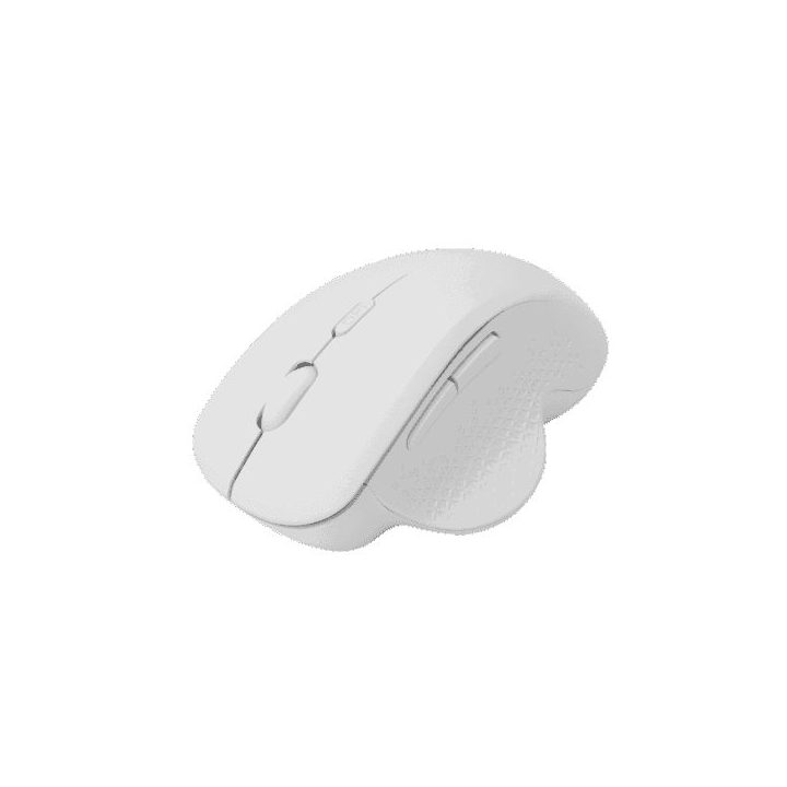 Belaidė pelė SBOX WM-549, balta