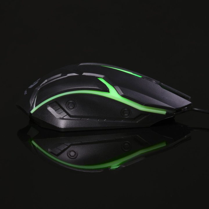 Žaidimų pelė su RGB apšvietimu, 1000 dpi