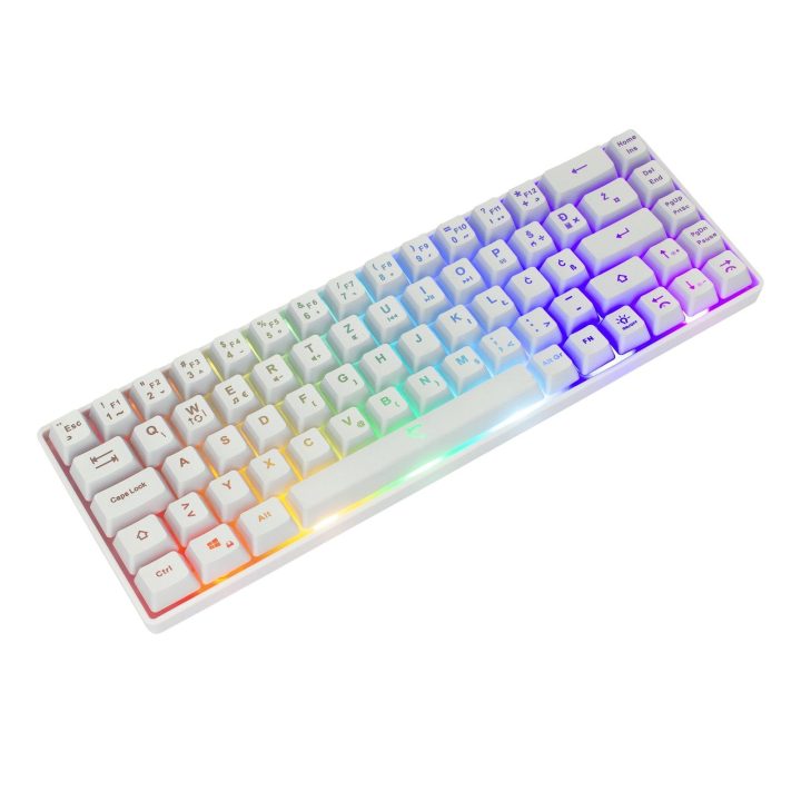 Balta žaidimų klaviatūra White Shark RONIN GK-2201