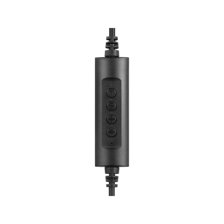 USB-C biuro ausinės su mikrofonu, 2 m