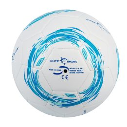 Futbolo kamuolys, 5 dydis