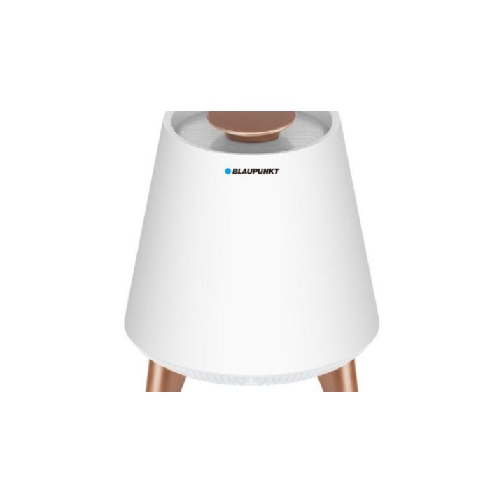 Bluetooth garsiakalbis su LED lempa Blaupunkt BT25LAMP