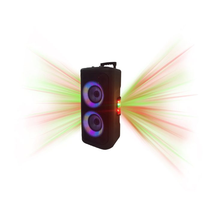 Denver TSP-353 Bluetooth garsiakalbis su mikrofono įvestimi