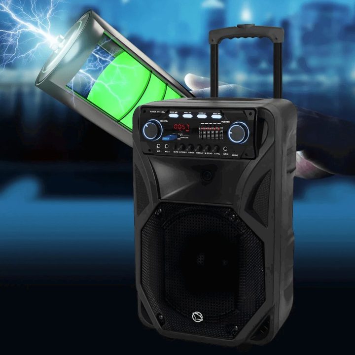 Manta SPK5021PRO Fonos mobilus garsiakalbis su belaidžiu mikrofonu