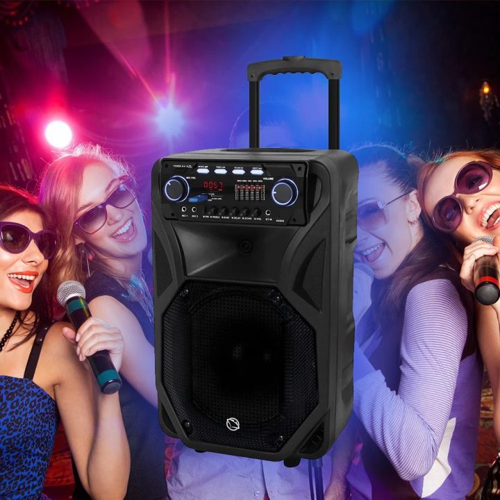 Manta SPK5021PRO Fonos mobilus garsiakalbis su belaidžiu mikrofonu