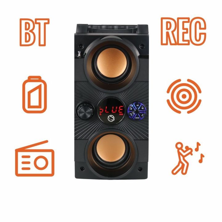 Bluetooth garsiakalbis su FM radiju ir karaokės funkcija