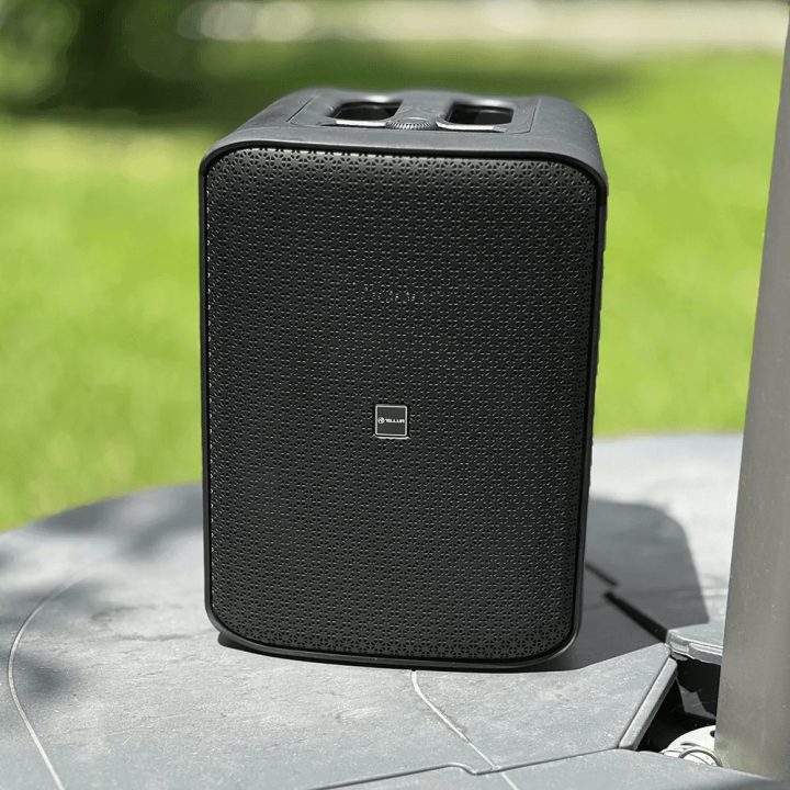 Tellur Buzz 80 W Bluetooth garsiakalbis