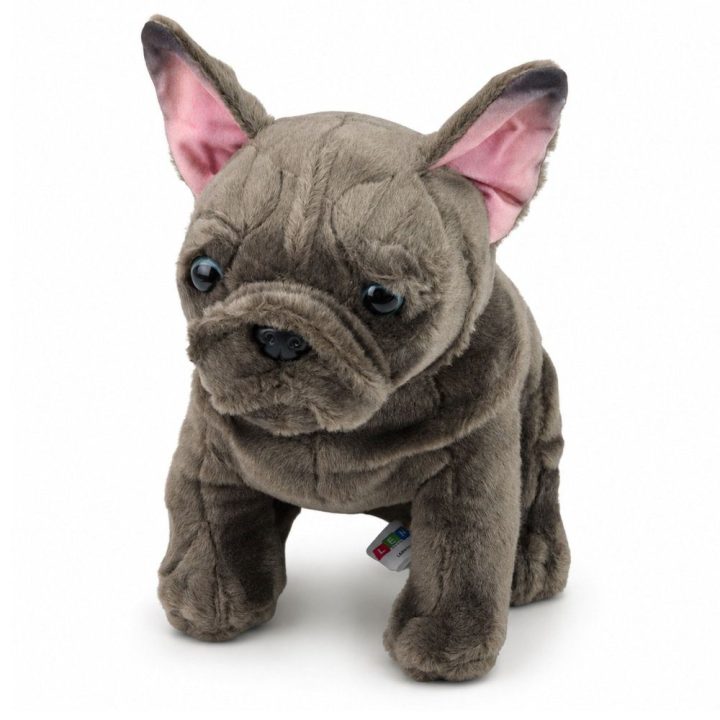 Rudas pliušinis prancūzų buldogas 22 cm