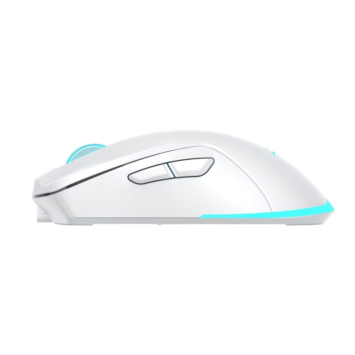 Baracuda TURTLE-W BGM-122 belaidė žaidimų pelė, balta
