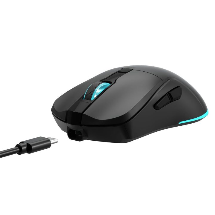 Baracuda Turtle BGM-121 belaidė žaidimų pelė, juoda