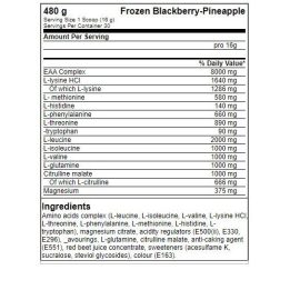Amino rūgščių milteliai FA Nutrition ICE Hydro Amino 480 g, šaldytų gervuogių ir ananasų skonio