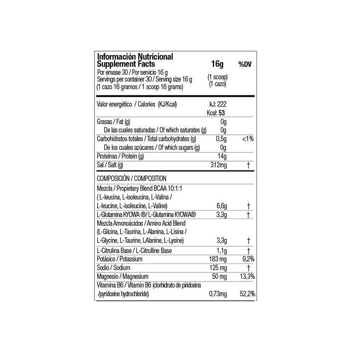 BCAA amino rūgščių milteliai Zoomad Caretaker 480 g