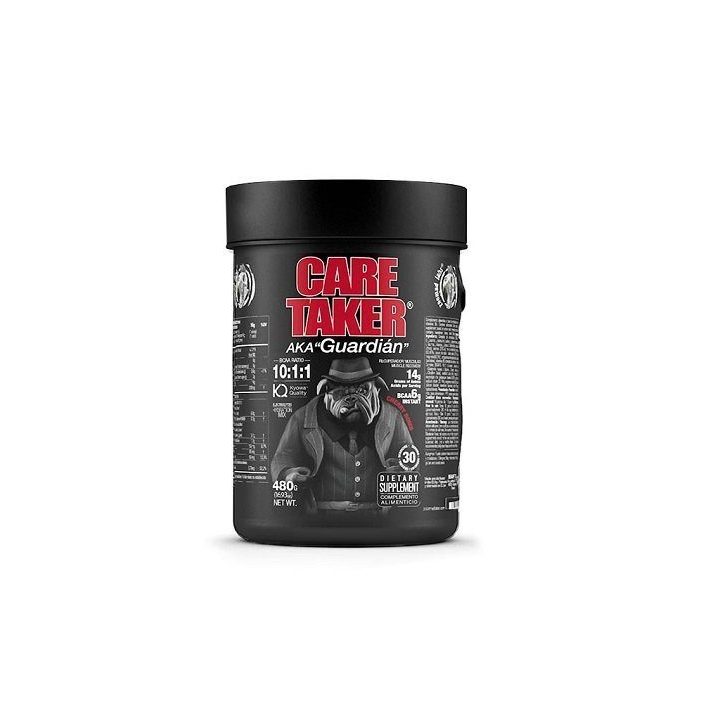 BCAA amino rūgščių milteliai Zoomad Caretaker 480 g