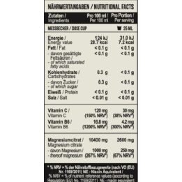 Magnio ir vitamino B6 gėrimas MST Magnesium B6 1000 ml
