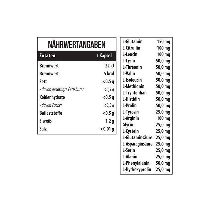 Amino rūgščių kapsulės MST 21 Amino Acids 120 kapsulių