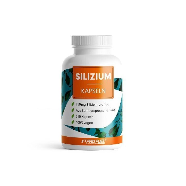 Silicio kapsulės ProFuel 240 kapsulių