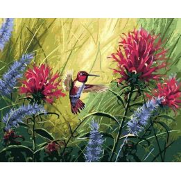 Tapybos pagal skaičius rinkinys „Kolibris žydint“ 40 × 50 cm