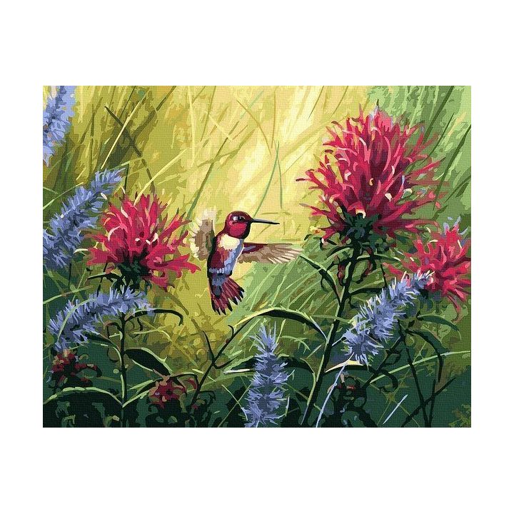 Tapybos pagal skaičius rinkinys „Kolibris žydint“ 40 × 50 cm